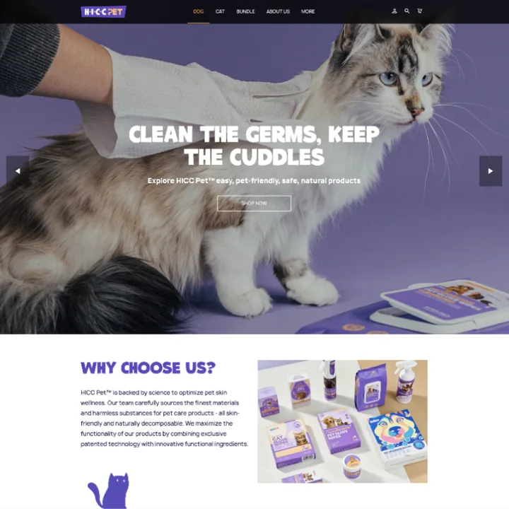 HICCPET website design