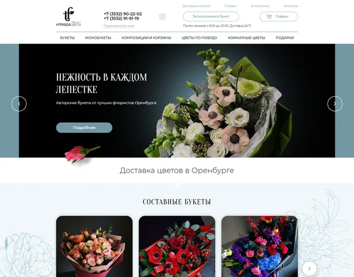 Pravdacvet website design