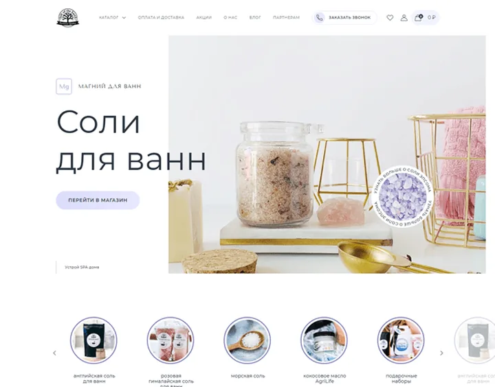 Salty website design